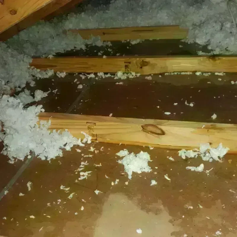 Attic Water Damage in Orchard City, CO